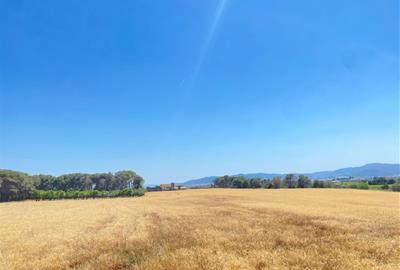 Llorenç del Penedès rebutja l’avantprojecte del PLATER per l’impacte sobre el sòl agrícola i vitivinícola. Ajuntament de Llorenç